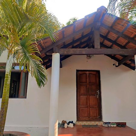 The Funky Monkey Hostel 安君纳 外观 照片